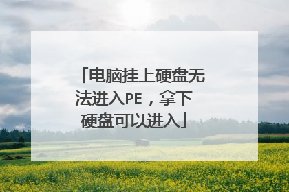 电脑挂上硬盘无法进入PE,拿下硬盘可以进入