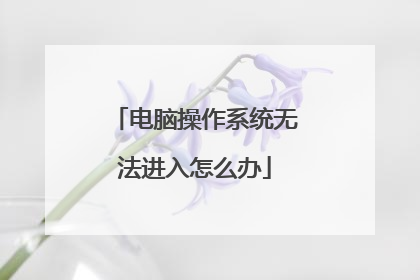 电脑操作系统无法进入怎么办