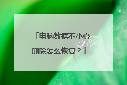 电脑数据不小心删除怎么恢复?