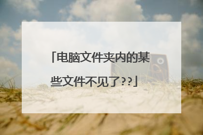 电脑文件夹内的某些文件不见了??