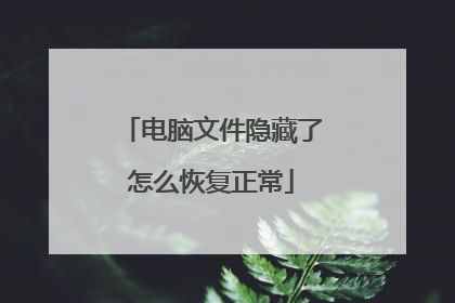 电脑文件隐藏了怎么恢复正常