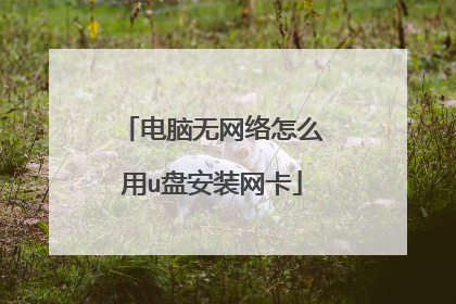 电脑无网络怎么用u盘安装网卡