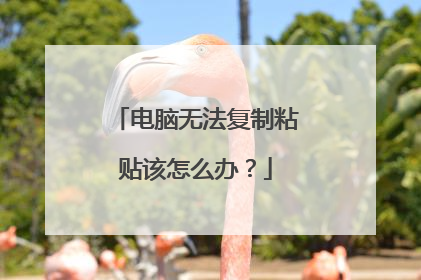电脑无法复制粘贴该怎么办?