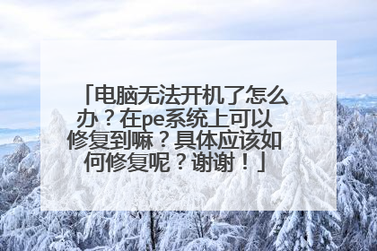 电脑无法开机了怎么办?在pe系统上可以修复到嘛?具体应该如何修复呢?谢谢!