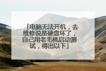 电脑无法开机,去维修说是硬盘坏了,自己用老毛桃启动测试,得出以下