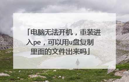 电脑无法开机，重装进入pe，可以用u盘复制里面的文件出来吗