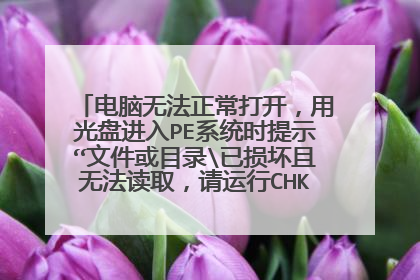 电脑无法正常打开,用光盘进入PE系统时提示“文件或目录已损坏且无法读取,请运行CHKDSK工具”。