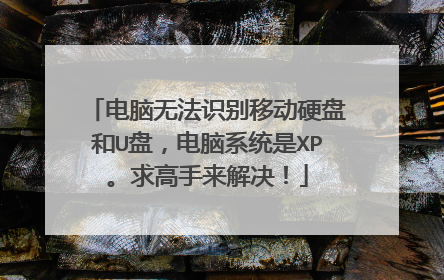 电脑无法识别移动硬盘和U盘，电脑系统是XP。求高手来解决！