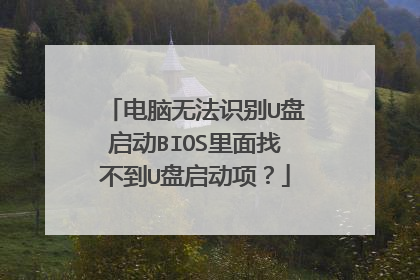 电脑无法识别U盘启动BIOS里面找不到U盘启动项?