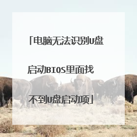 电脑无法识别U盘启动BIOS里面找不到U盘启动项