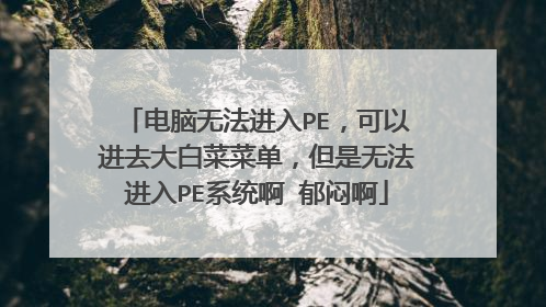 电脑无法进入PE，可以进去大白菜菜单，但是无法进入PE系统啊 郁闷啊