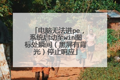 电脑无法进pe,系统启动至win图标处瞬间(黑屏有背光)停止响应