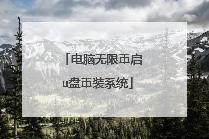 电脑无限重启u盘重装系统