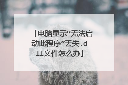 电脑显示“无法启动此程序”丢失.dll文件怎么办