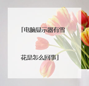 电脑显示器有雪花是怎么回事