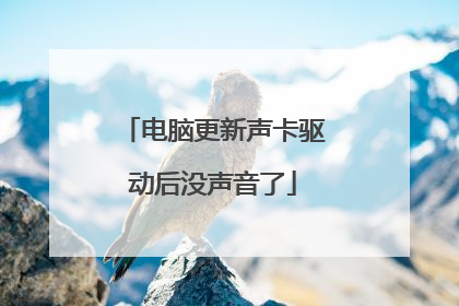 电脑更新声卡驱动后没声音了