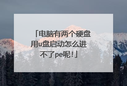 电脑有两个硬盘用u盘启动怎么进不了pe呢!