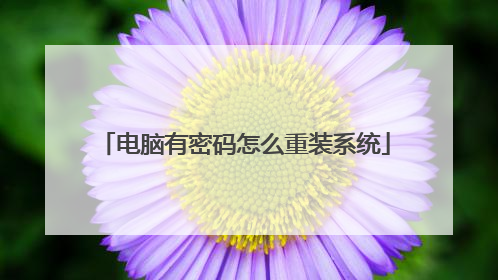 电脑有密码怎么重装系统