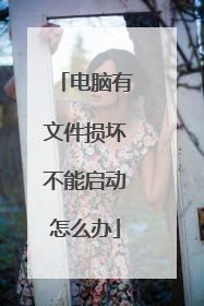 电脑有文件损坏不能启动怎么办