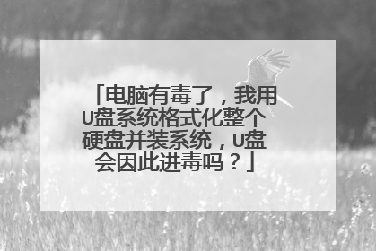 电脑有毒了，我用U盘系统格式化整个硬盘并装系统，U盘会因此进毒吗？