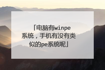 电脑有winpe系统，手机有没有类似的pe系统呢