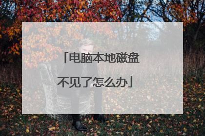 电脑本地磁盘不见了怎么办