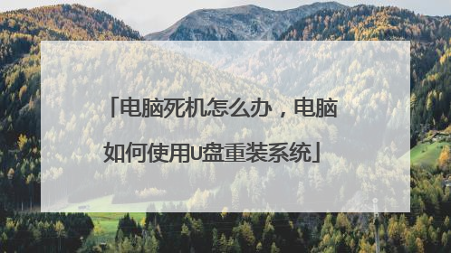 电脑死机怎么办,电脑如何使用U盘重装系统