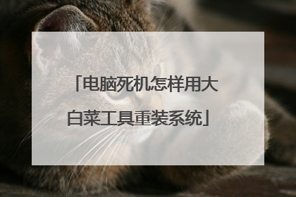电脑死机怎样用大白菜工具重装系统