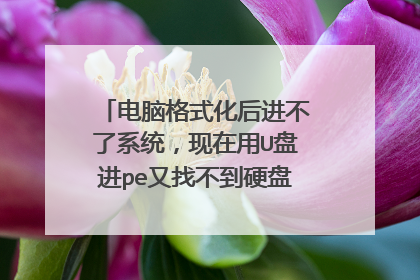 电脑格式化后进不了系统，现在用U盘进pe又找不到硬盘，只显示u盘