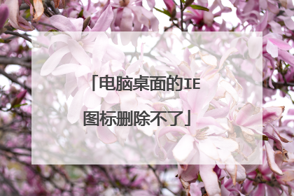 电脑桌面的IE图标删除不了