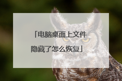电脑桌面上文件隐藏了怎么恢复