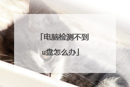 电脑检测不到u盘怎么办