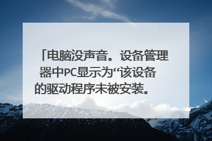 电脑没声音。设备管理器中PC显示为“该设备的驱动程序未被安装。 (代码 28)”有图