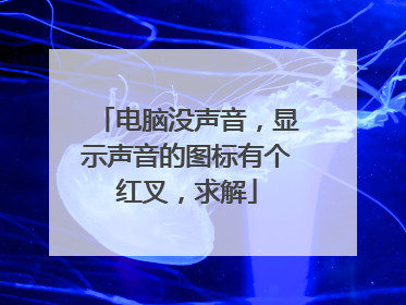 电脑没声音,显示声音的图标有个红叉,求解