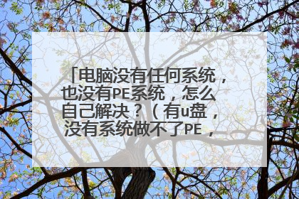 电脑没有任何系统,也没有PE系统,怎么自己解决?(有u盘,没有系统做不了PE,手机转接头也没有)