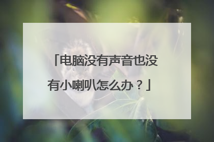 电脑没有声音也没有小喇叭怎么办?