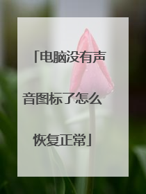 电脑没有声音图标了怎么恢复正常
