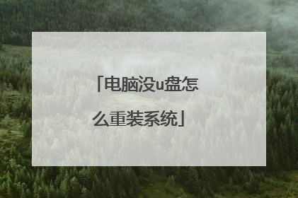 电脑没u盘怎么重装系统