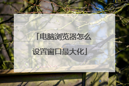 电脑浏览器怎么设置窗口最大化