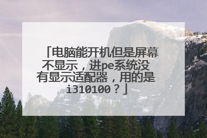 电脑能开机但是屏幕不显示,进pe系统没有显示适配器,用的是i310100?