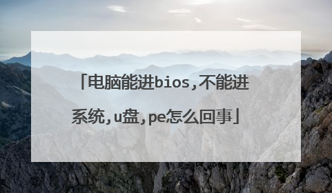 电脑能进bios,不能进系统,u盘,pe怎么回事