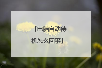 电脑自动待机怎么回事