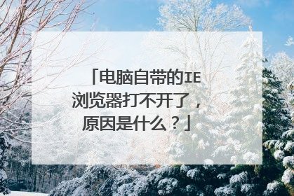 电脑自带的IE浏览器打不开了,原因是什么?