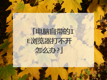 电脑自带的IE浏览器打不开怎么办?