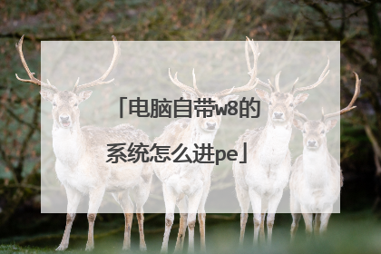 电脑自带w8的系统怎么进pe