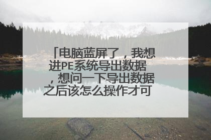 电脑蓝屏了，我想进PE系统导出数据，想问一下导出数据之后该怎么操作才可以不损伤电脑？