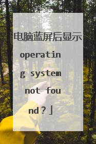 电脑蓝屏后显示operating system not found?