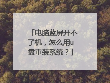电脑蓝屏开不了机,怎么用u盘重装系统?