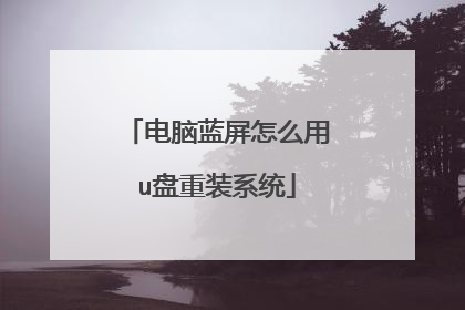 电脑蓝屏怎么用u盘重装系统
