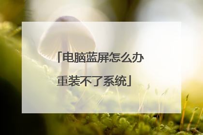 电脑蓝屏怎么办重装不了系统